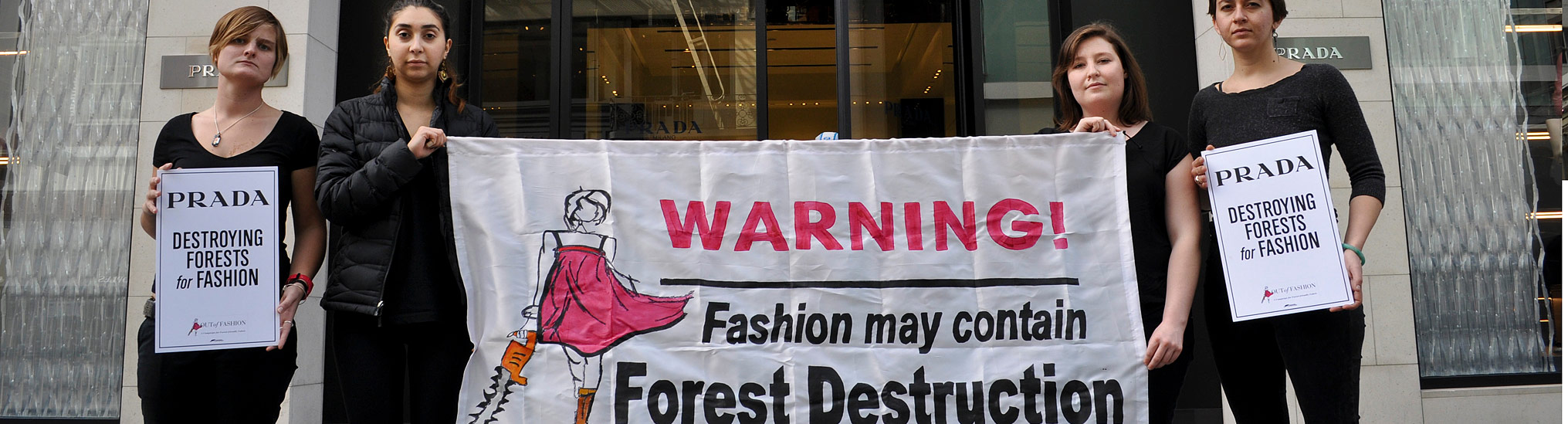 Rainforest Action Network